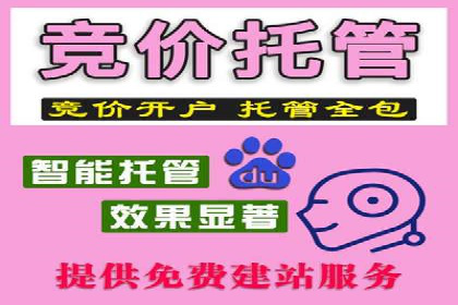 解析不同平台的信息流广告投放策略——以XX平台为例