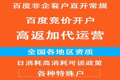 百度推广运营策略解析及成功案例分享